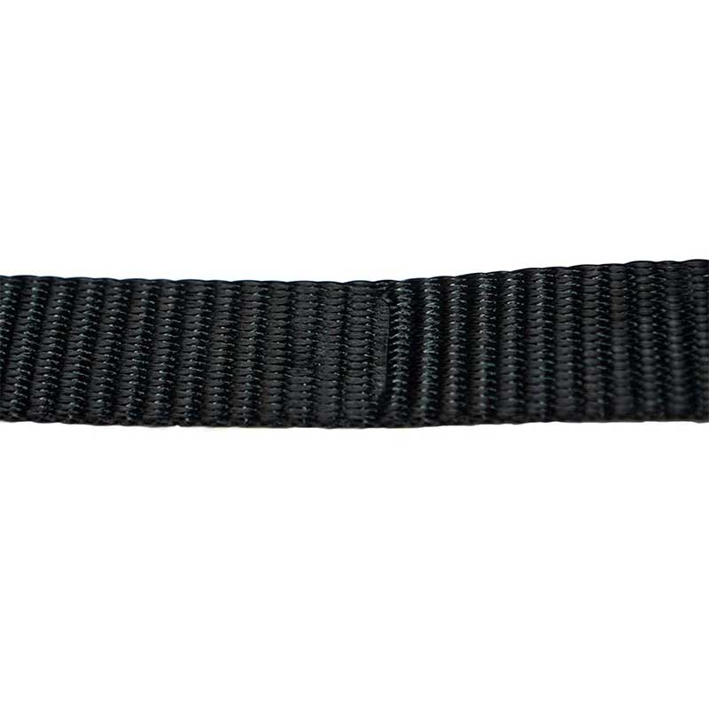 Ang 1 X 10' Black Endless Ratchet Strap
