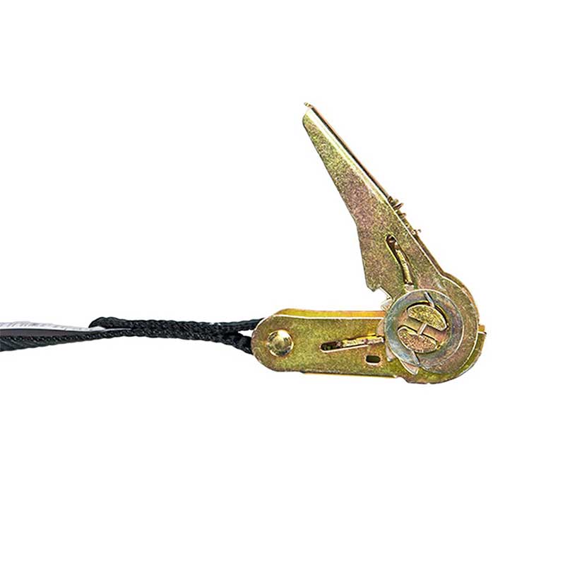 Ang 1 X 10' Black Endless Ratchet Strap