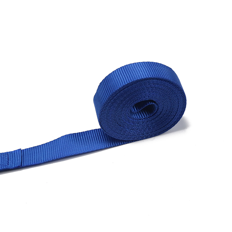 Ang 25MM Ratchet Tie Down European Type S Hook(Modelo BT-TDS-021)