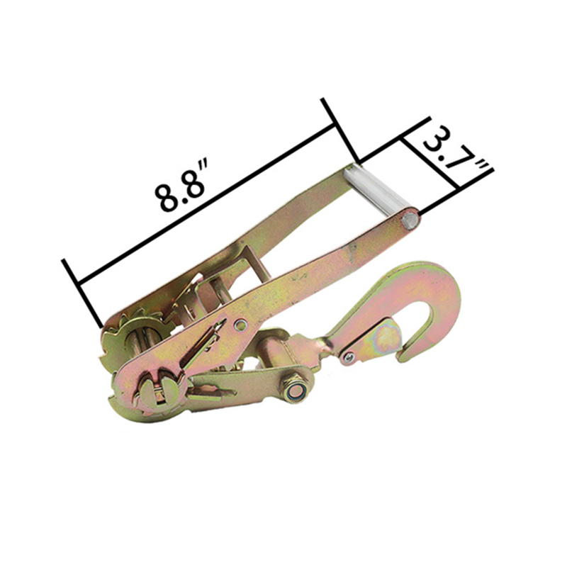 Ang Adjustable 2INCH Tire Wheel Tie Down Gamit ang Snap Hook D Ring