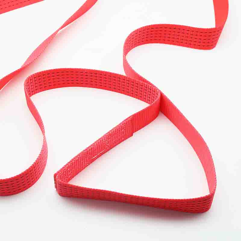 Ang Flat Webbing Sling na Walang katapusang Lifting Sling